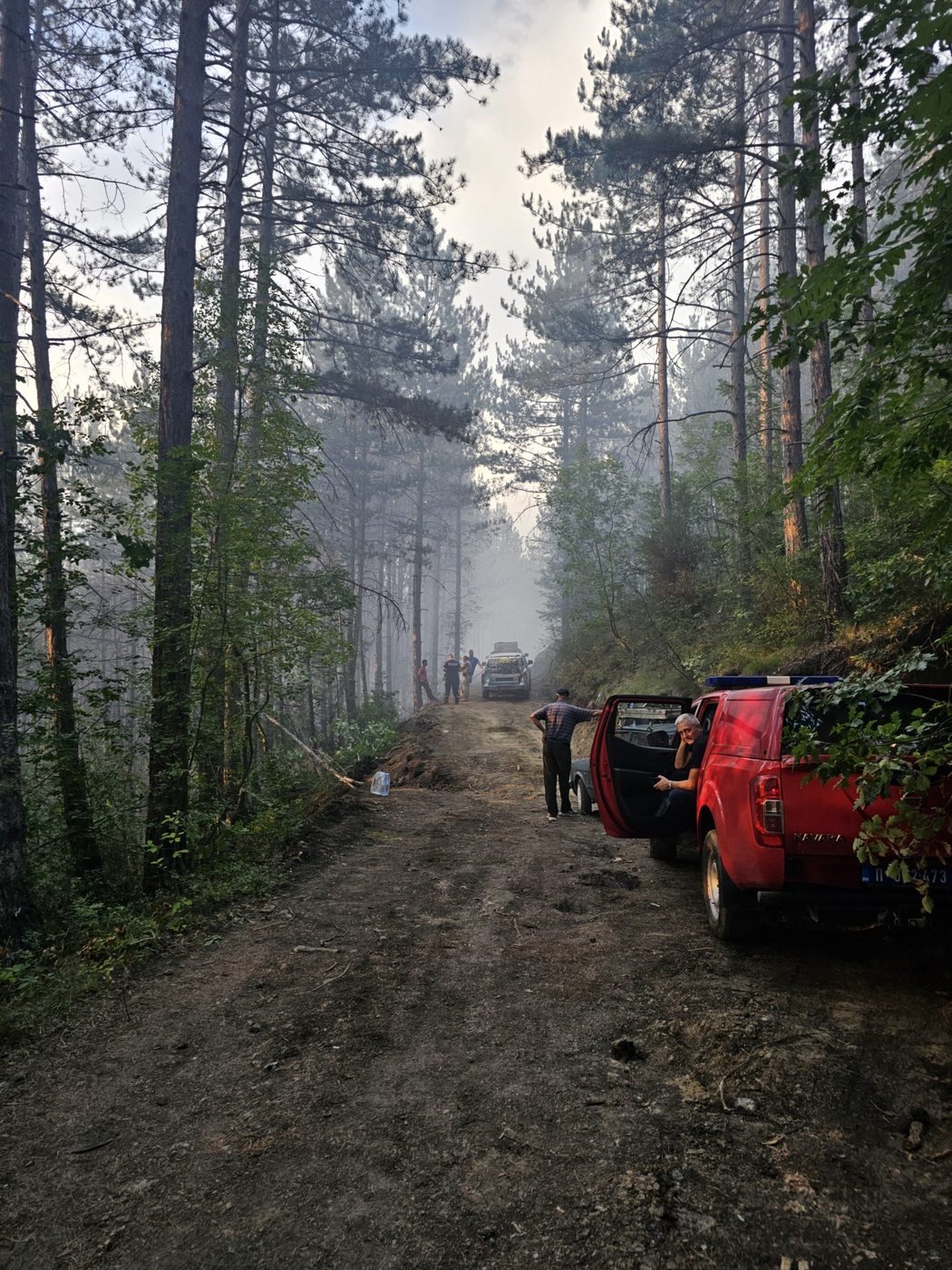 Делиблатска пешчара, 6 августа